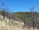 photo thumbnail #13