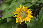 photo thumbnail #14