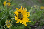 photo thumbnail #2