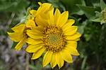 photo thumbnail #3