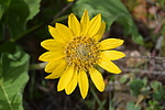 photo thumbnail #11