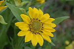 photo thumbnail #13