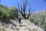 photo thumbnail #5