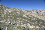 photo thumbnail #6