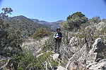 photo thumbnail #10