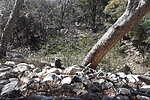 photo thumbnail #11