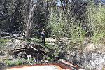 photo thumbnail #13