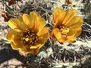 photo thumbnail #1