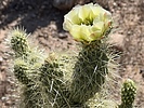 photo thumbnail #3