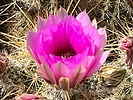 photo thumbnail #4