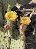 photo thumbnail #9