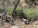 photo thumbnail #12