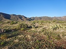 2022-04-11 :2: South Fork - Gold Ridge Loop :: DixieFlyer