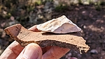 photo thumbnail #11