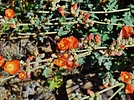 photo thumbnail #9