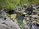 photo thumbnail #14