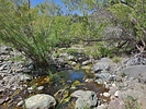 photo thumbnail #15