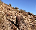 photo thumbnail #1
