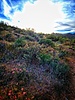 photo thumbnail #12