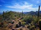 photo thumbnail #11