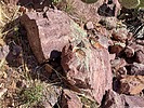 2022-04-15 :2: Peak 7571 - Mazatzal Mountains :: DixieFlyer
