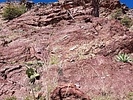 2022-04-15 :2: Peak 7571 - Mazatzal Mountains :: DixieFlyer