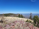 2022-04-15 :2: Peak 7571 - Mazatzal Mountains :: DixieFlyer