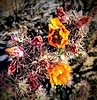 photo thumbnail #4