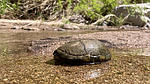 2022-04-03 :3: Canyon explore :: chumley