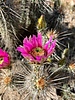 photo thumbnail #13