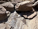 Featured Detail Photo