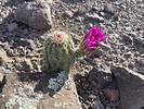 photo thumbnail #3