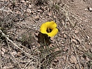 photo thumbnail #12