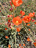 photo thumbnail #14