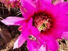 photo thumbnail #6