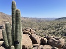photo thumbnail #6