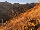 photo thumbnail #1