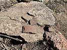 photo thumbnail #5