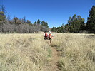 photo thumbnail #4