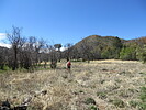 photo thumbnail #7