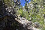 photo thumbnail #5