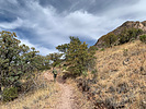 photo thumbnail #2