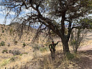 photo thumbnail #7