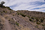 photo thumbnail #8