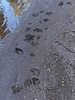 photo thumbnail #11
