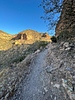 photo thumbnail #10