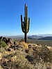 photo thumbnail #15