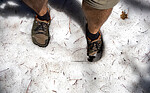photo thumbnail #14