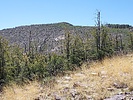 photo thumbnail #14