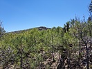 2022-04-20 :2: Peak 7579 - Mazatzal Mountains :: DixieFlyer